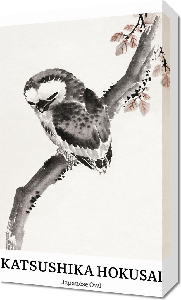 Bild 30x50cm Design Japanische Eule, Hokusai Vintage für das Wohnzimmer