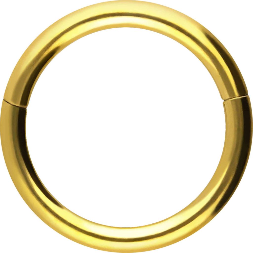 Ohrpiercing, Nasenpiercing, Septum Piercing Chirurgenstahl Segmentring Clicker Gold Innendurchmesser: 7mm + Stabstärke: 1,2mm
