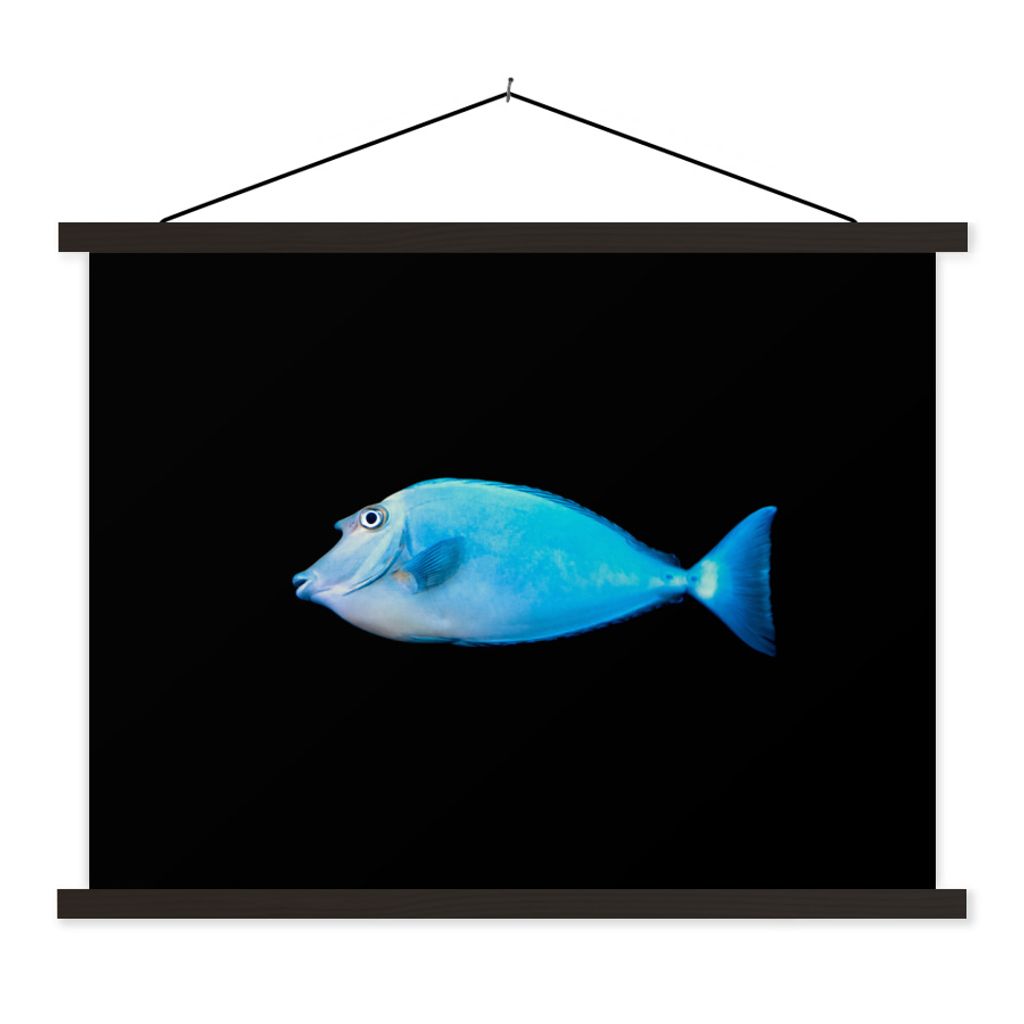 MuchoWow Textilposter Fische - Meerestiere - Schwarz 150x113 cm mit schwarzem Rahmen