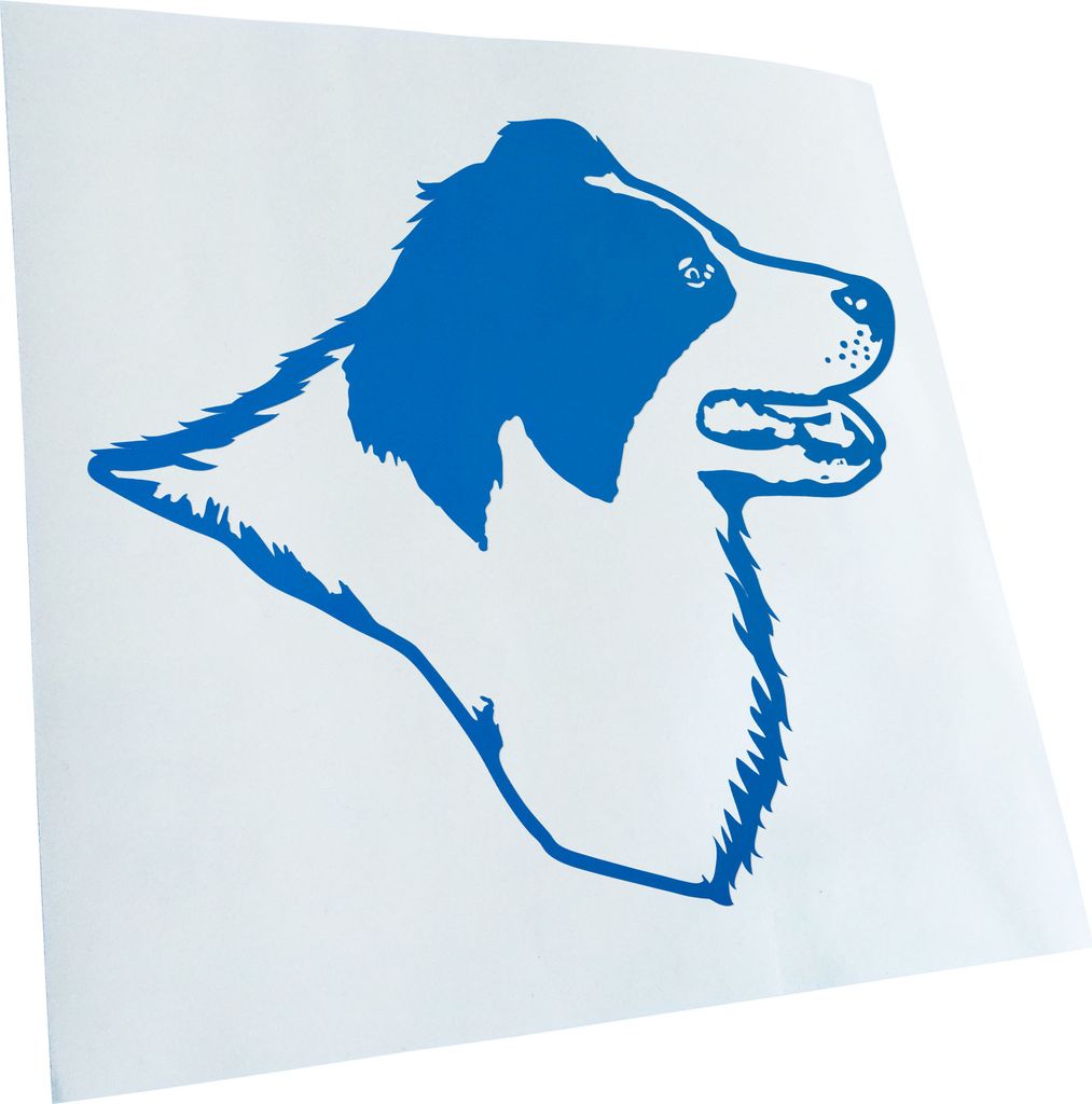 Kiwistar - Autoaufkleber - Border Collie Hund - Blau - 30x27cm - Aufkleber für Auto, Laptop, Fahrrad, LKW, Motorrad mehrfarbig JDM Decal Racing