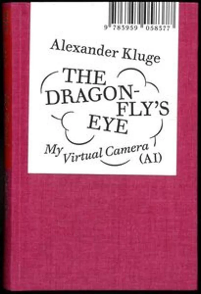 Comprendre Alexander Kluge : The Dragonfly's Eye, Analyse de l'Image
