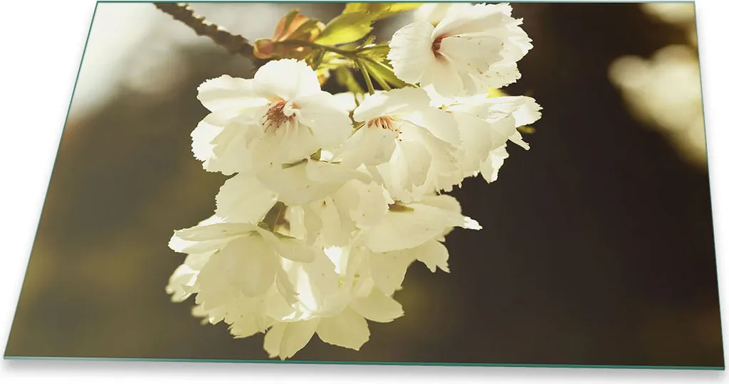 Coprifornelli Vetro Decorato 80x52 Fiori Bianchi Protezione Cucina
