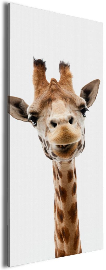 Wallario Premium Leinwandbild Giraffenkopf in Größe 60 x 150 cm