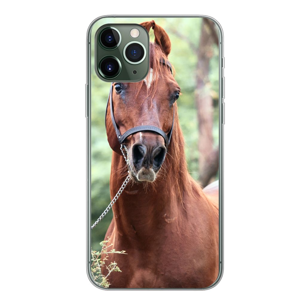 MuchoWow Handyhülle Schutzhülle Hülle für iPhone 11 Pro Pferd - Wald - Halfter Silikon Softcase Handy Hülle - Handy