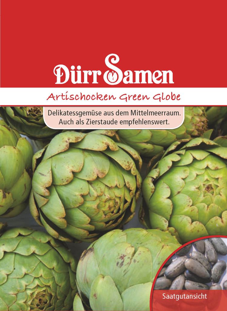 Artischocke Green Globe | Artischockensamen von Dürr Samen Produktbild 