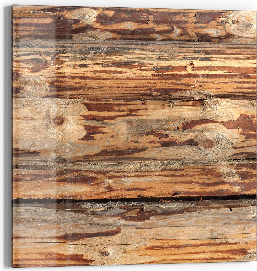 DEQORI Glasbild Echtglas 50x50 cm 'Muster der Natur' Wandbild Bild modern Deko
