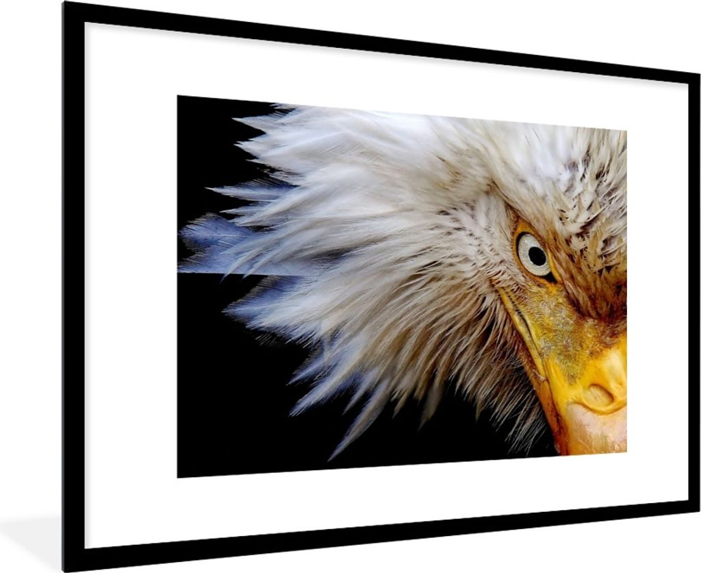 MuchoWow Gerahmtes Poster Vogel - Auge - Schnabel 90x60 cm - Poster mit Schwarzem Bilderrahmen Wandposter Rahmen Foto Bilder - Wanddekoration - F...