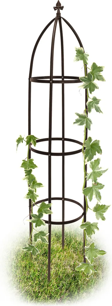 Aide pour grimper déco jardin métal 190 cm pour plantes et fleurs