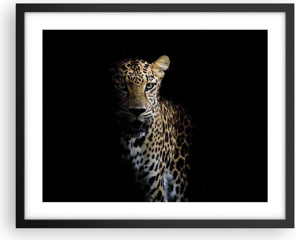 Gerahmtes Poster - Schwarzer Rahmen - Schattig Leopard Panther - 50x40 cm - Wand Bild - Wanddeko - Wandbilder - Kunstposter - Wandposter - Bilderra...