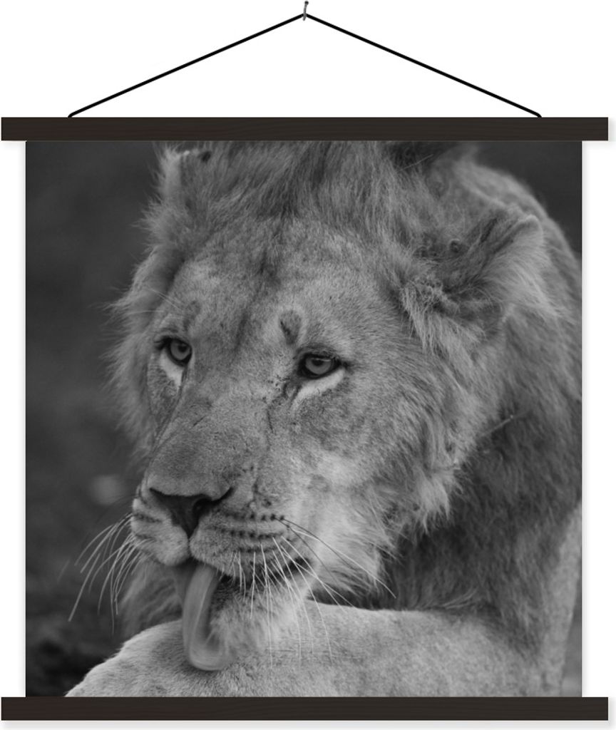 MuchoWow Textilposter Löwe - Wild - Schwarz 60x60 cm mit schwarzem Rahmen - Posteraufhänger