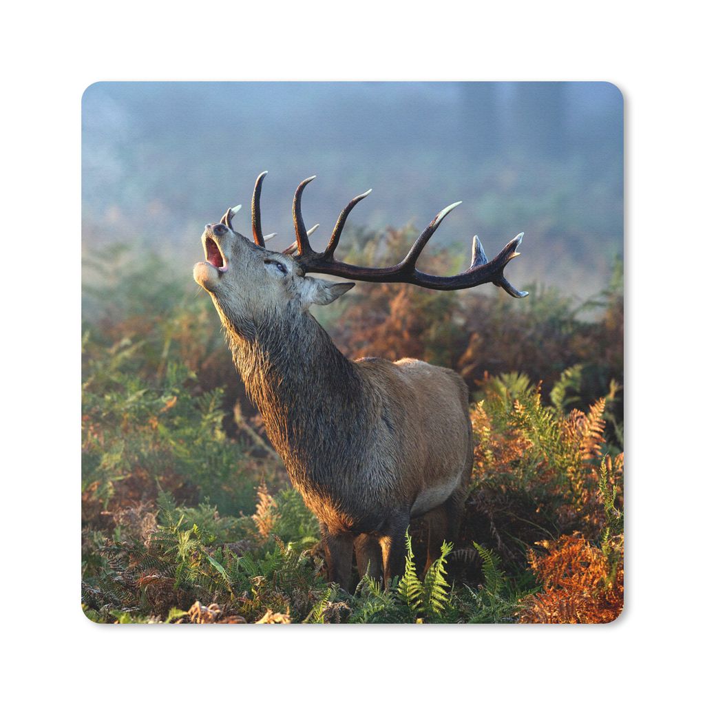 MuchoWow Mauspad Mousepad Hirsche - Wald - Nebel 30x30 cm - Mousepads - Maus Mat - Pad - Mausunterlage - Gaming