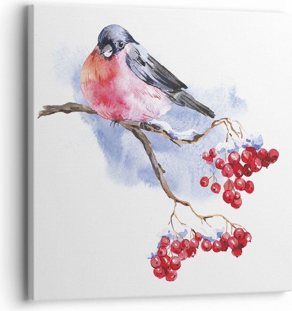 Bild auf Leinwand - Leinwandbild - Einteilig - Dompfaff auf Zweig - 30x30cm - Wand Bild - Wanddeko - Wandbilder - Leinwanddruck - Bilder - Wanddeko...