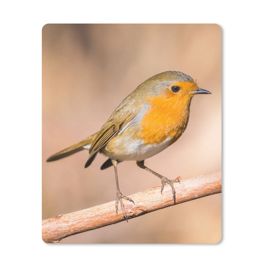 MuchoWow Mauspad Mousepad Vogel - Zweig - Rotkehlchen 30x40 cm - Mousepads - Maus Mat - Pad - Mausunterlage - Mausmatten