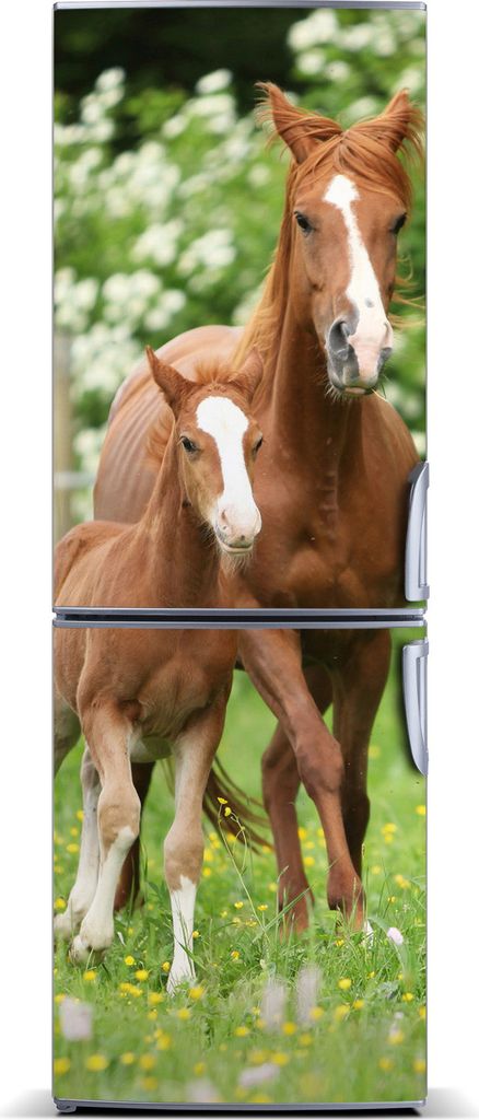 Tulup Kühlschrankdekoration - Magnetmatte - 60 cm x 180 cm - Magnet auf dem Kühlschrank - Stute Und Fohlen