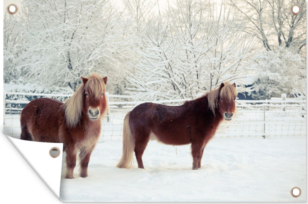 MuchoWow 90x60 cm Outdoor-Poster Gartendeko Sichtschutz Garten Poster für den Garten Zwei Shetlandponys im Schnee