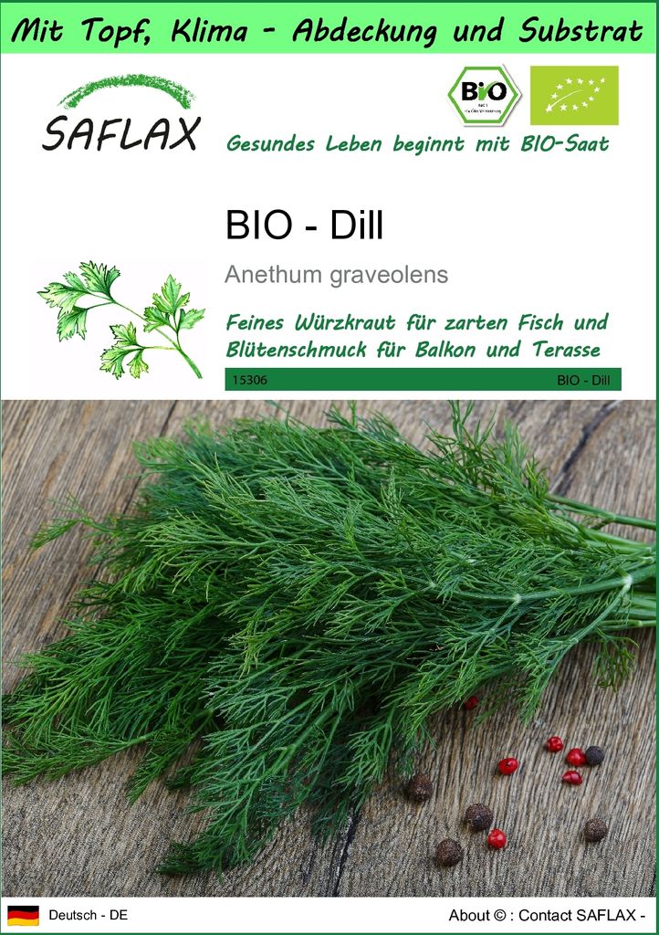 SAFLAX Garden to go - BIO - Dill - Anethum graveolens - 700 Samen - Mit Topf, Klima - Deckel und Anzuchtsubstrat