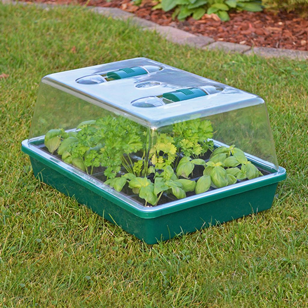 HI Mini-Gewächshaus 38x24,5x18 cm Transparent Produktbild 5
