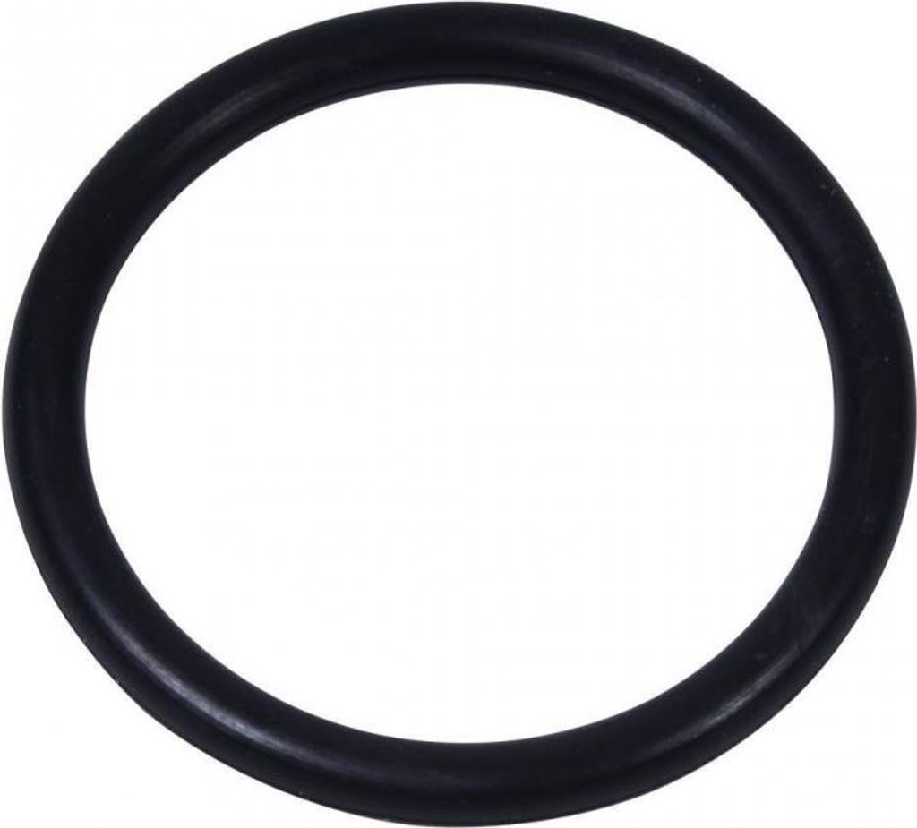 INTEX 10134 Joint torique pour tuyau - Pompe de filtration Image du produit 