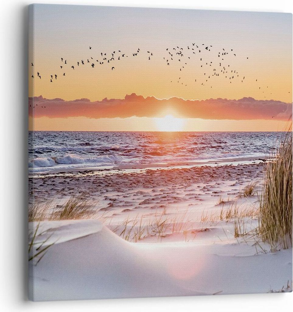 Bild auf Leinwand - Leinwandbild - Einteilig - Sonne Strand Vögel - 40x40cm - Wand Bild - Wanddeko - Wandbilder - Leinwanddruck - Bilder - Wanddek...