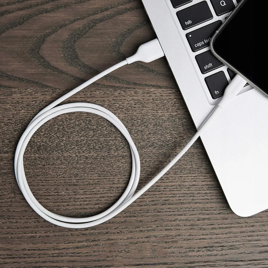 Câble USB-C vers Lightning Amazon Basics 0,9 m - Charge Rapide iPhone
