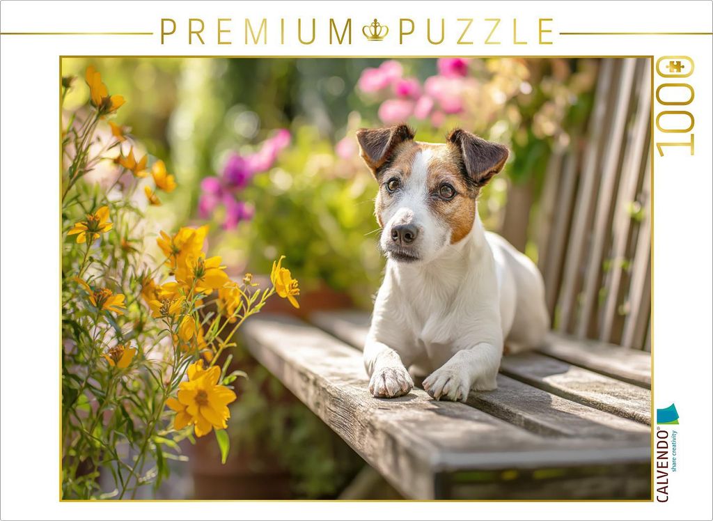 CALVENDO Puzzle Ein Platz an der Sonne | 1000 Teile Lege-Größe 64x48cm Foto-Puzzle für glückliche Stunden