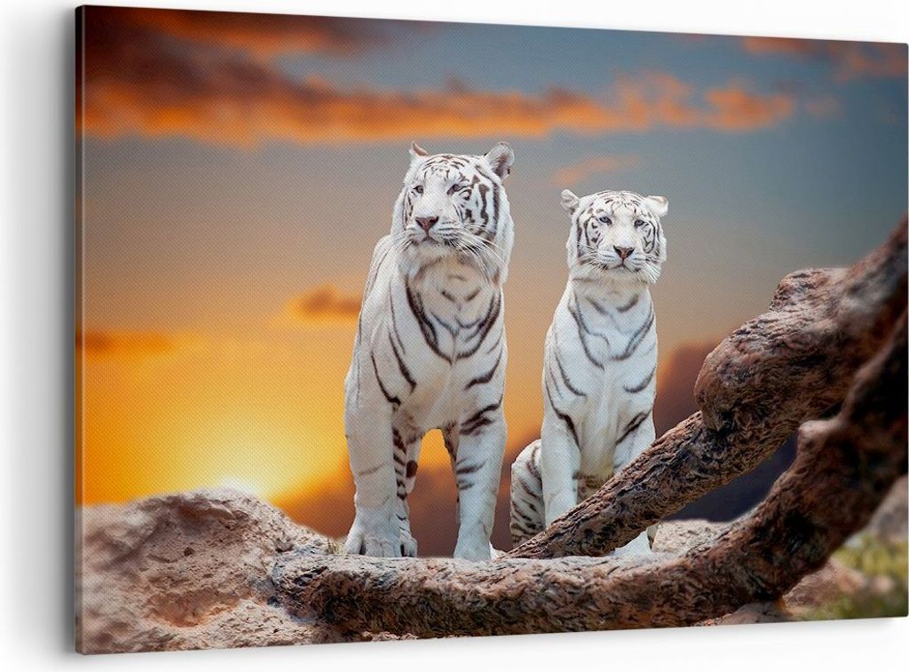 Bild auf Leinwand - Leinwandbild - Tiger weiß Rock Produktbild 