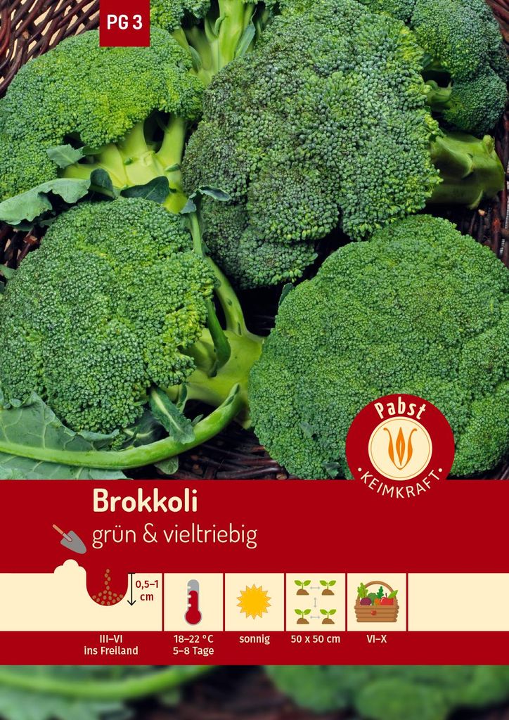 Artikelbild 1 von 'Brokkoli Ramoso Calabrese' aus der Kategorie Brokkolisamen