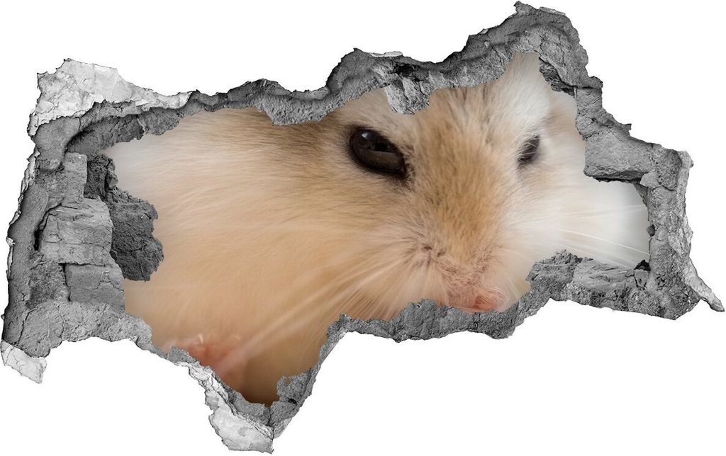 Selbstklebender Loch-3D-Aufkleber 95x73 cm Hamster