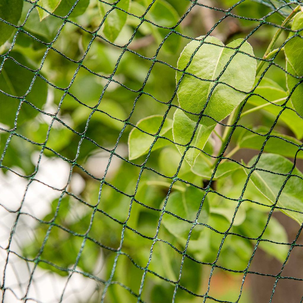 Vogelschutznetz Gartennetz Vogelnetz Pflanzenschutznetz Teichabdecknetz Laubnetz 