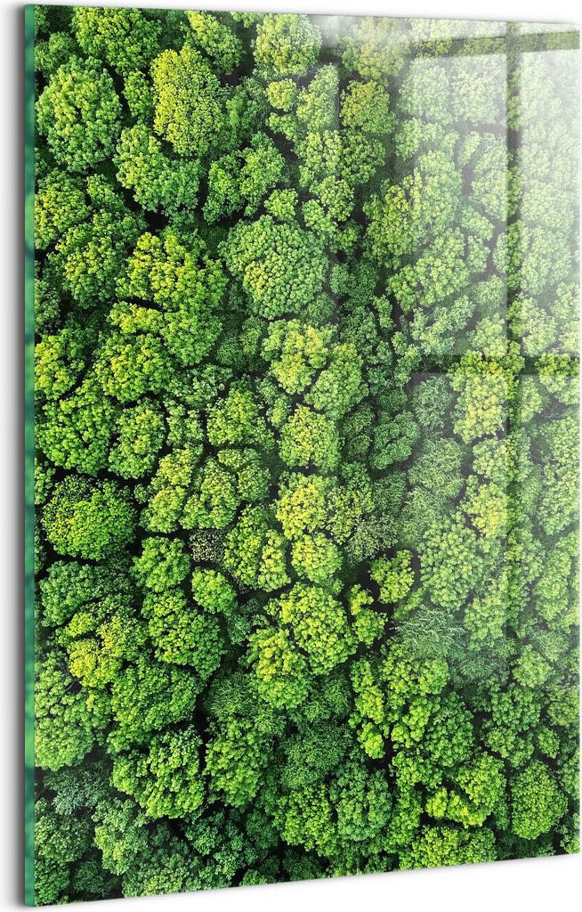 Designer Glasbild - Wandbild - Glas Bild - 20x30 cm - Wald Aus Der Vogelperspektive