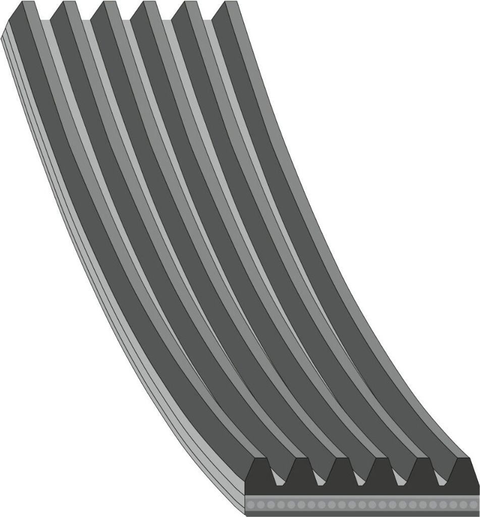 FEBI BILSTEIN Keilrippenriemen 1123mm für VW Golf IV Schrägheck (1J1) Transporter V Bus (7HB, 7HJ, 7EB, 7EJ, 7EF, 7EG, 7HF, 7EC) Golf IV Variant ...