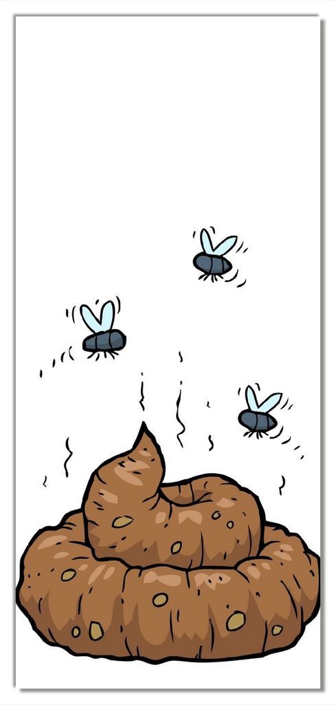 Wallario selbstklebende Türtapete 93 x 205 cm mit Schutzlaminat - Comic Scheißhaufen mit Fliegen