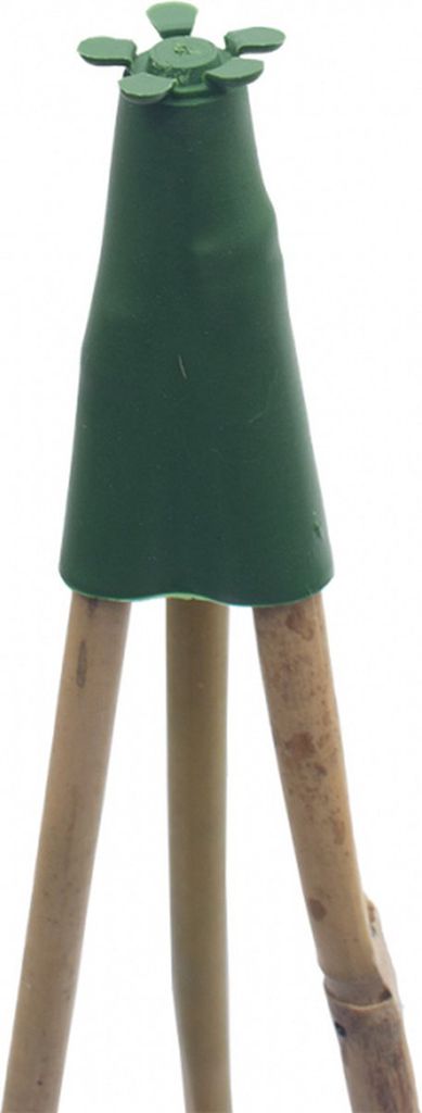 Ferrarium Bambus Stock Clip Pyramide 5 Stück