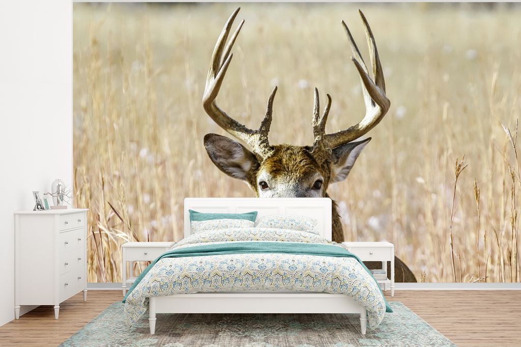 MuchoWow Fototapete für Wohnzimmer oder Schlafzimmer Wandtapete Vinyl Motivtapete Hirsche - Gras - Herbst - Tiere - Natur - Geweih - 320x240 cm ...
