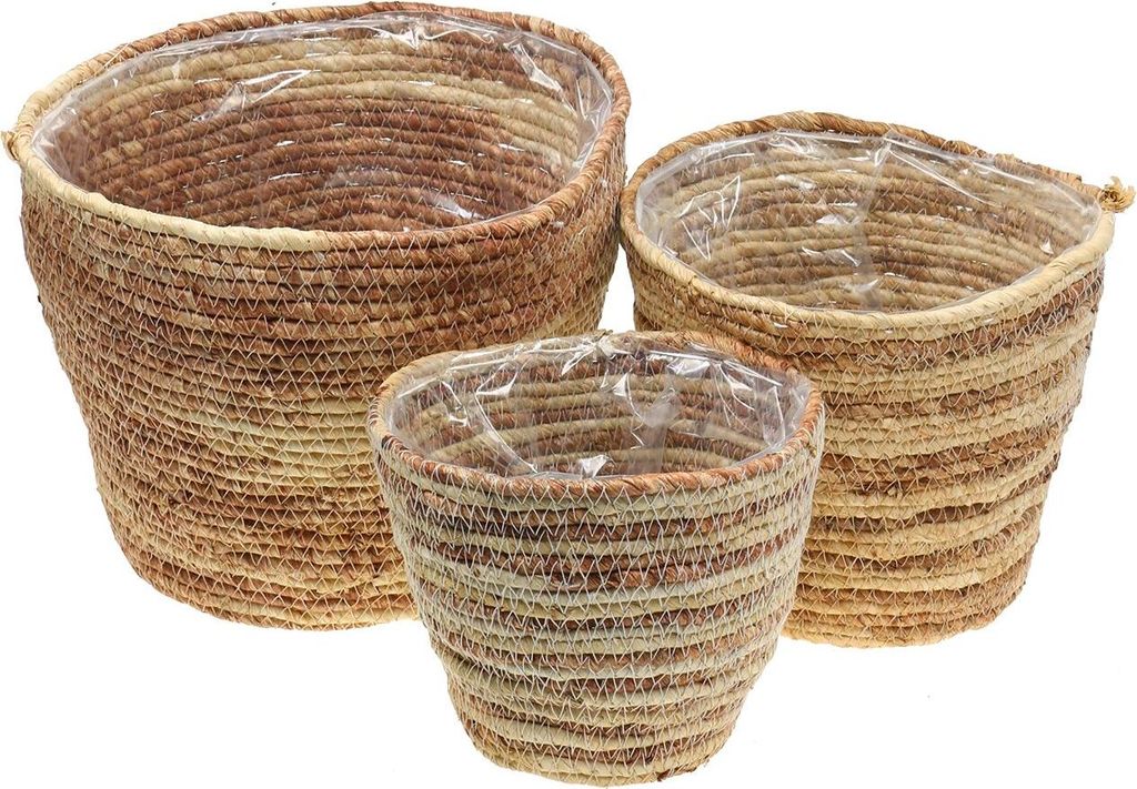 Pflanzkorb aus Rattan für Zimmerpflanzen und Dekoideen