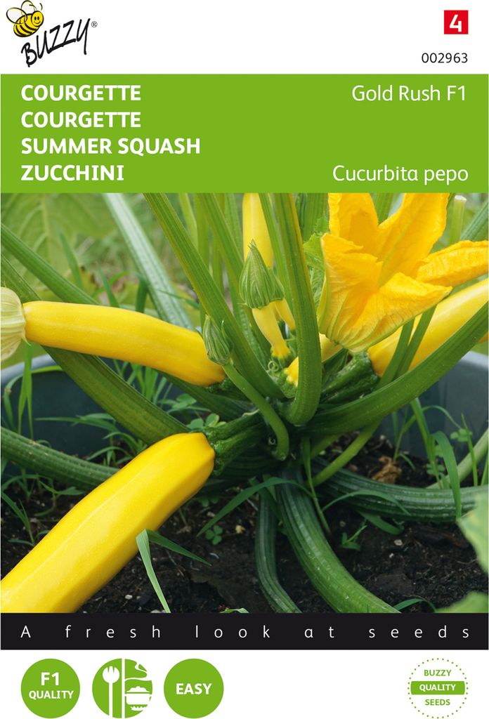 Samen - ZUCCHINI ́GOLD RUSH F1'