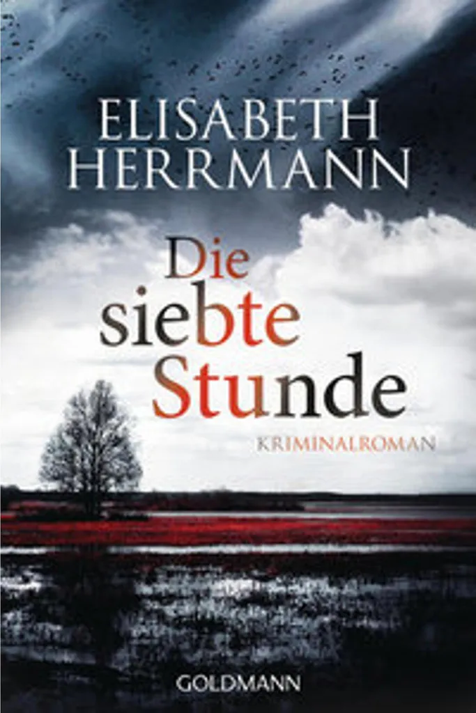 Die siebte Stunde Roman policier à suspense par Elisabeth Herrmann