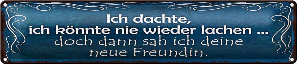 Blechschild Spruch 46x10cm Freundin ich kann wieder lachen