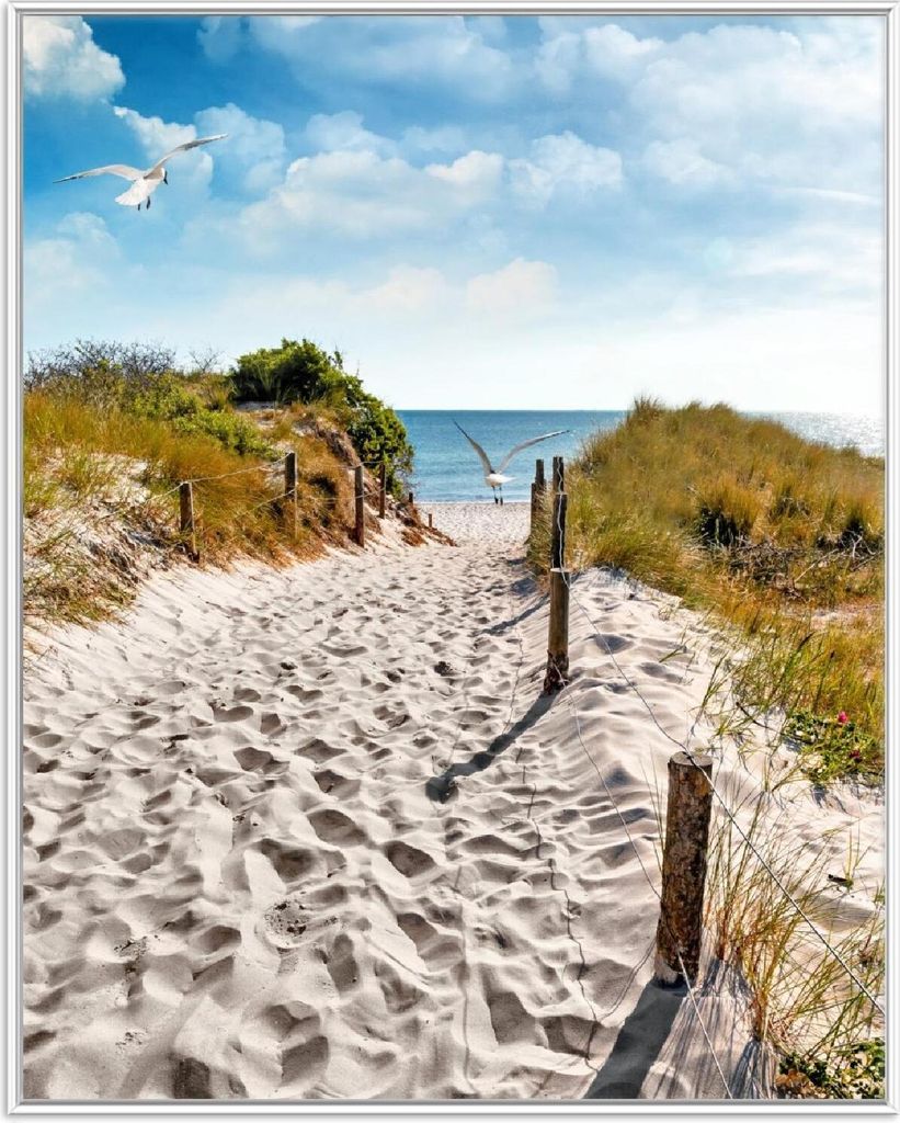 Wallario Wandbild Möwen auf dem Weg zum Strand, Größe: 40,30 x 50,30 cm, Poster mit weißem Aluminiumrahmen