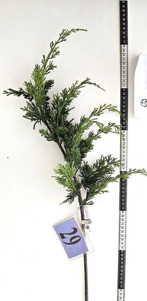 artplants.de Künstlicher Zweig Thuja STERNYN, grün, 85cm - Deko Thujazweig