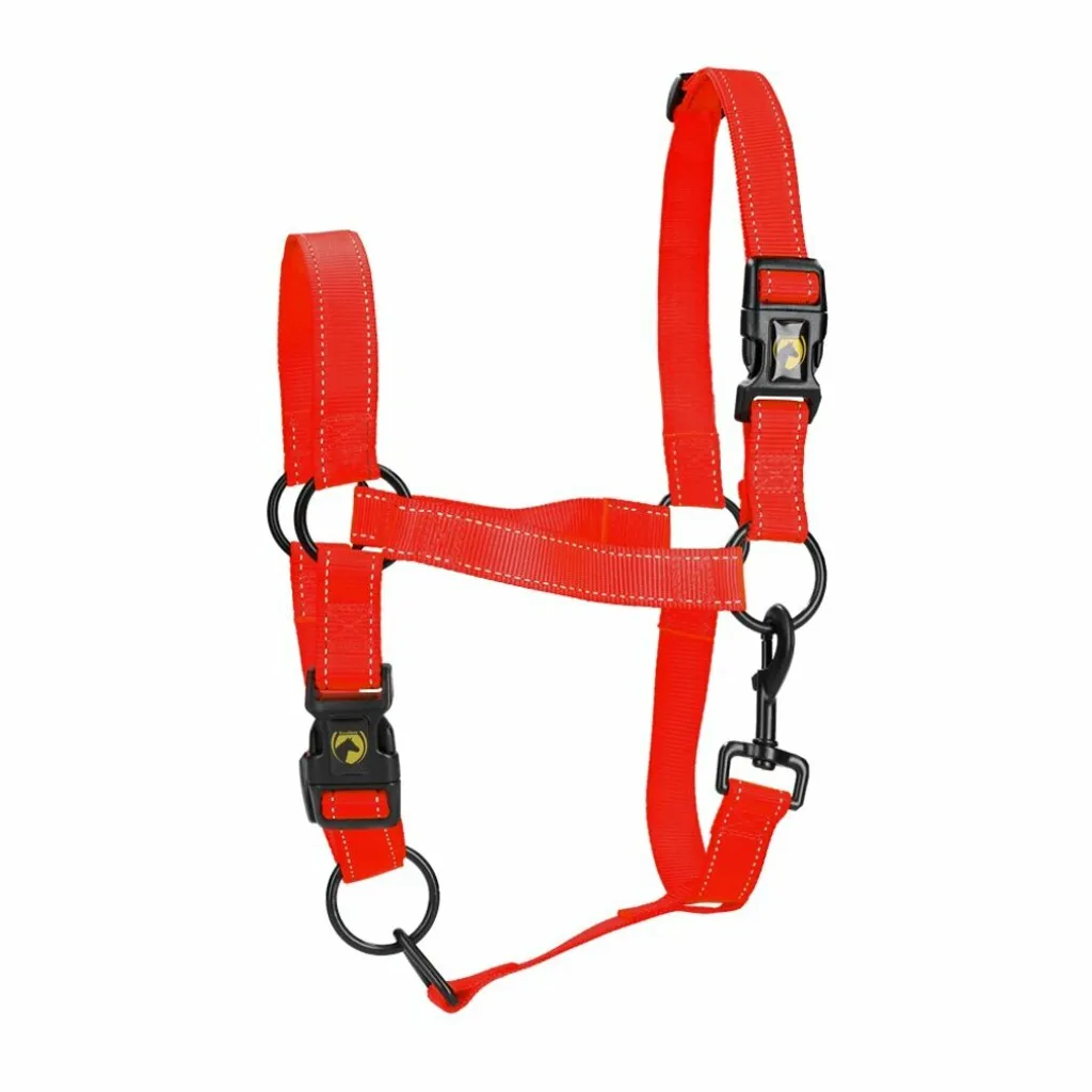 Capezza Rossa Mini Foal XS Premium | Eccellente Cavallo Halter Rot