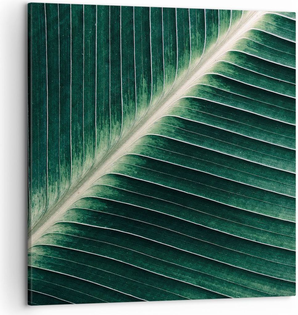Bild auf Leinwand - Leinwandbild - Einteilig - Grün Blatt Tropisch - 50x50cm - Wand Bild - Wanddeko - Wandbilder - Leinwanddruck - Bilder - Wandde...