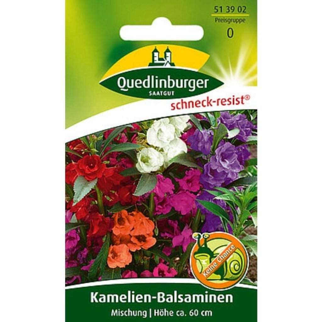 Kamelien-Balsamine Mischung | Blumensamenmischung von Produktbild 