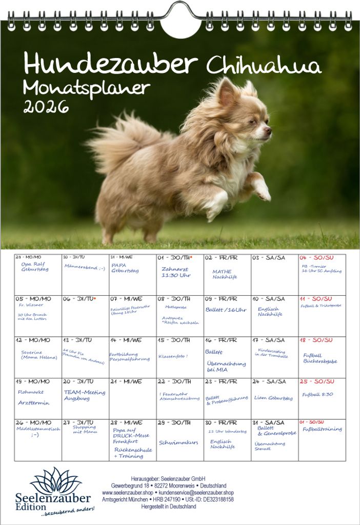 Hundezauber Chihuahua Planer DIN A4 Kalender für 2026 Welpen und Hunde - Seelenzauber