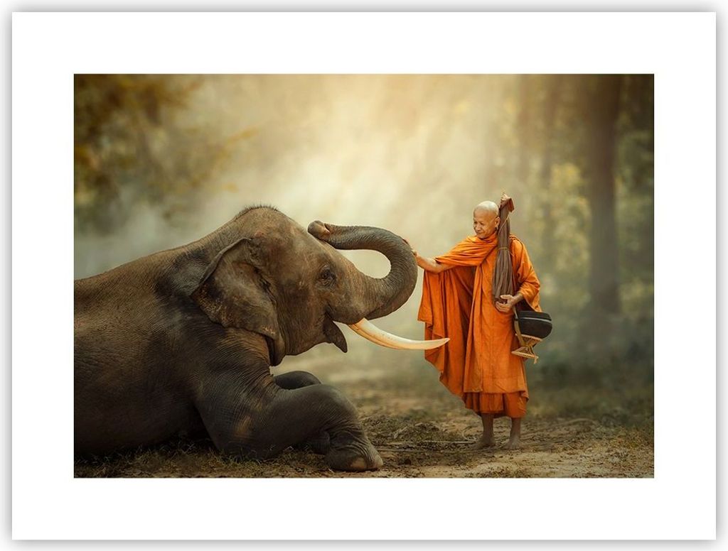 Poster - Poster ohne Rahmen - Elefant Mönch Stoßzahn - 40x30 cm - Wand Bild - Wanddeko - Wandbilder - Kunstposter - Wandposter - Bilder - Kunstdr...