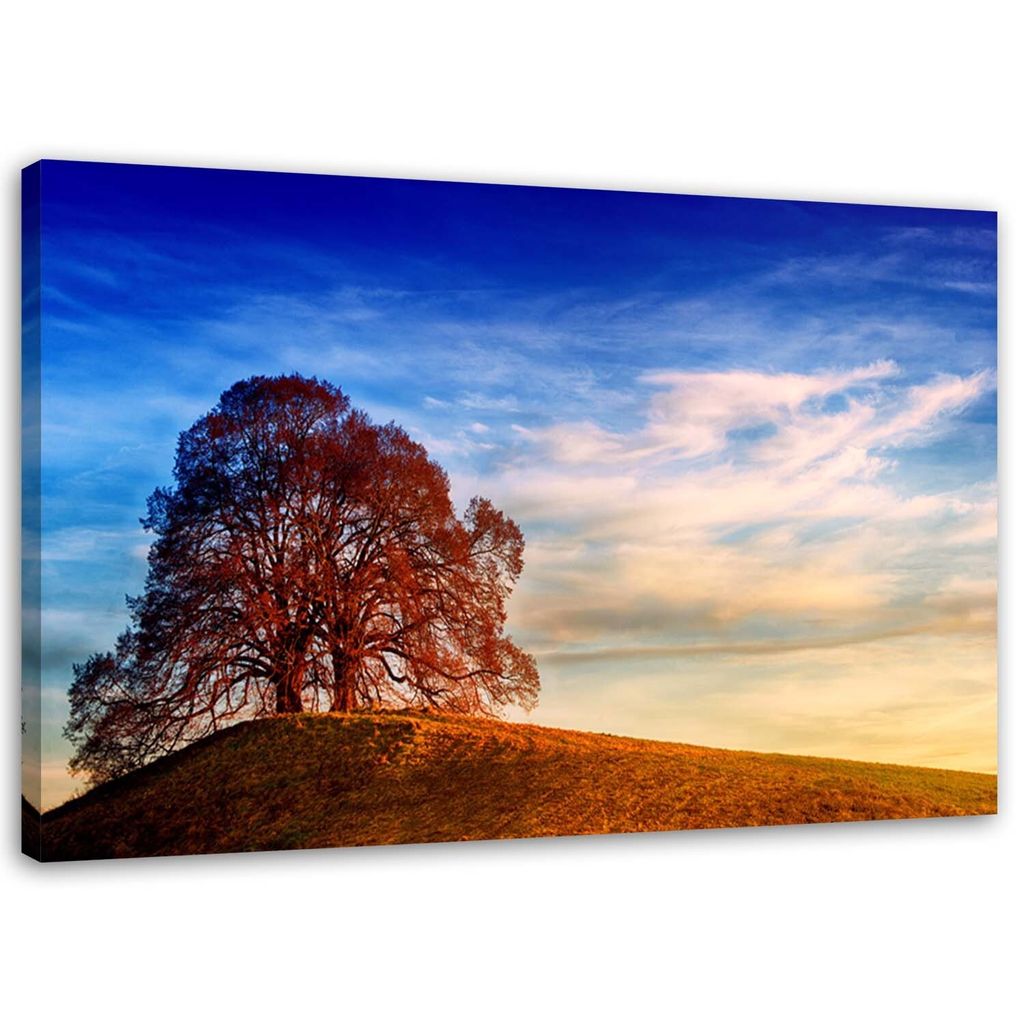Leinwandbild baum auf einer hügellandschaft 100x70 cm Feeby blau wandbild bereit zum aufhängen