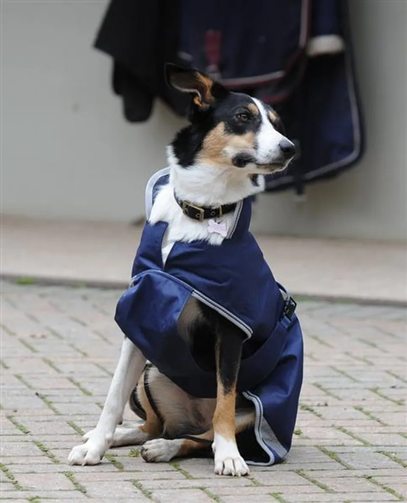 Bucas Freedom Dog 300g Navy/Argento - Guscio Invernale da Trekking