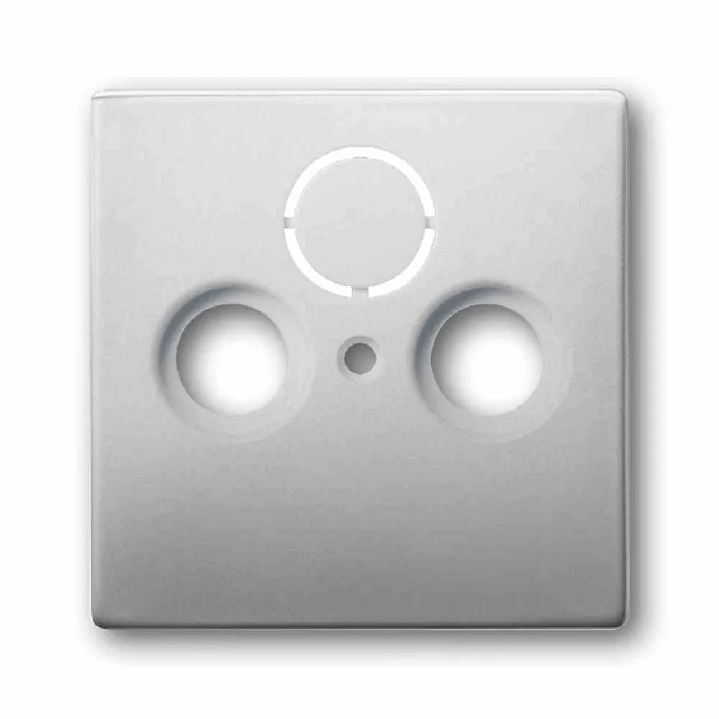Plaque Inox Busch-Jaeger : Rénover vos Prises Antenne Jaunies avec Style