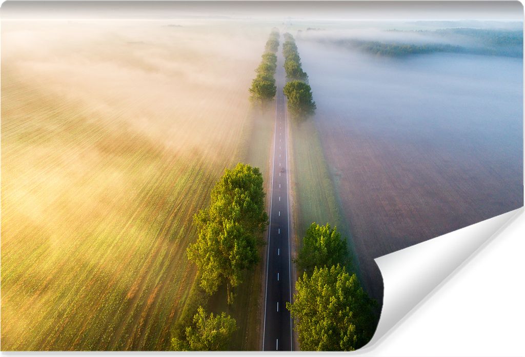 Muralo XXL Vlies FOTOTAPETE STRAßE Felder Bäume Aussicht von oben (B) 90 cm x (H) 60 cm Tapete Wandtapete WOHNZIMMER SCHLAFZIMMER 4581
