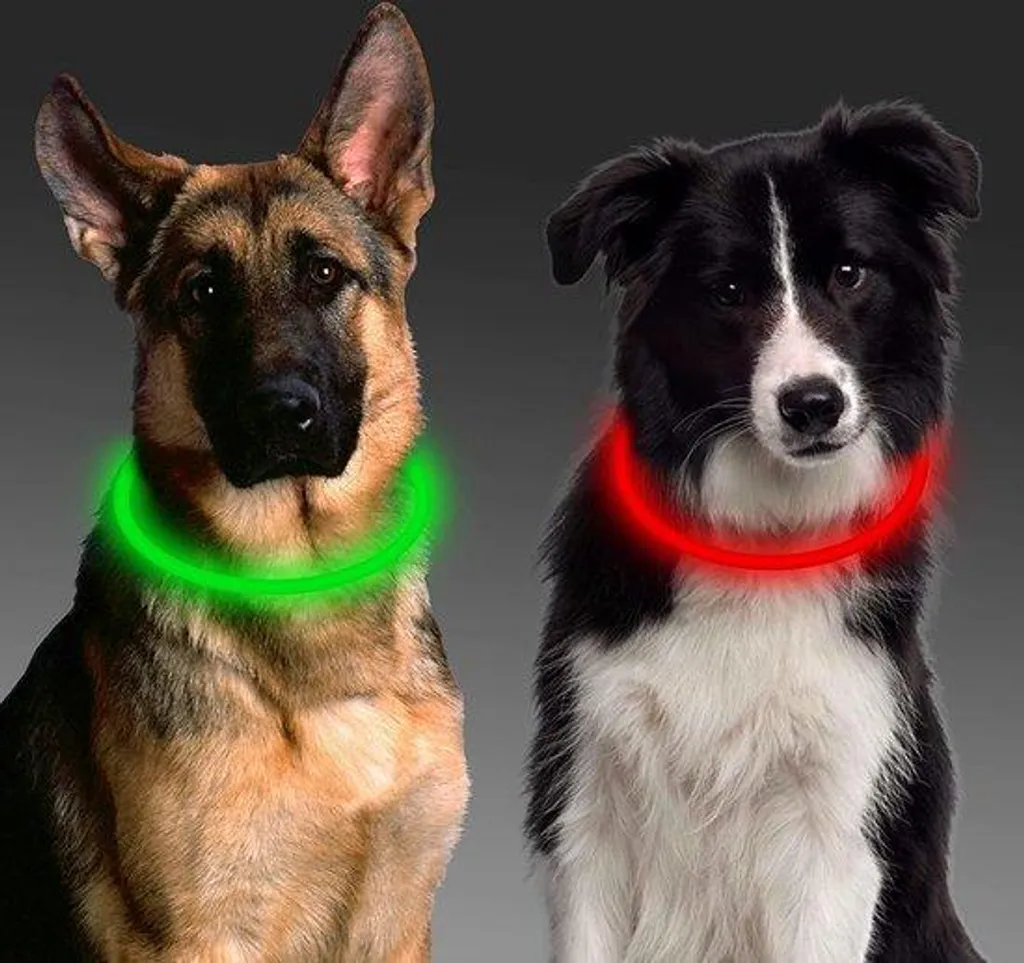 Laisse de chien pour promenade de nuit sécurisée avec phare LED blanc